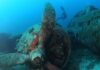 Swimming and Diving in Corsica: The Best Places to Explore the Mediterranean