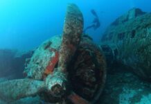 Swimming and Diving in Corsica: The Best Places to Explore the Mediterranean