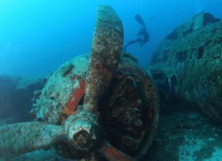 Swimming and Diving in Corsica: The Best Places to Explore the Mediterranean