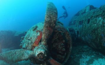 Swimming and Diving in Corsica: The Best Places to Explore the Mediterranean