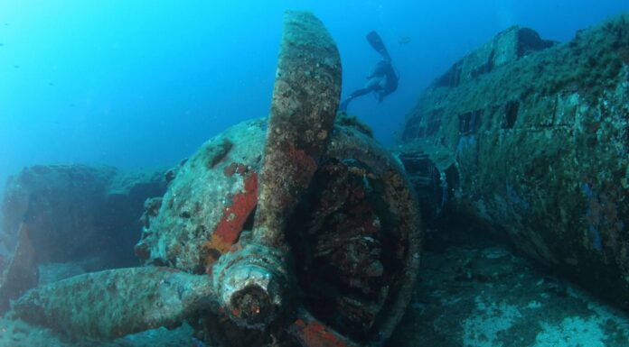 Swimming and Diving in Corsica: The Best Places to Explore the Mediterranean