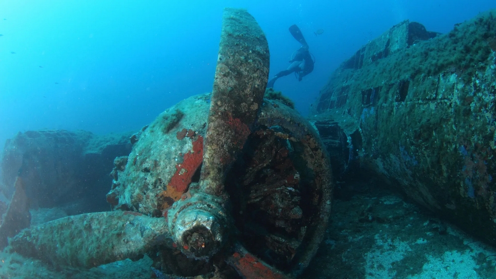 Diving in Corsica