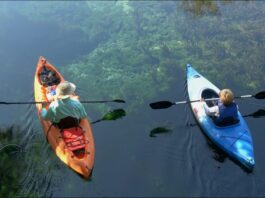 From Kayaking to Trekking: Top Thrilling Adventures for Outdoor Enthusiasts