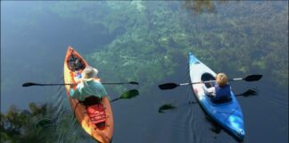 From Kayaking to Trekking: Top Thrilling Adventures for Outdoor Enthusiasts