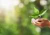 Mastering Sustainable Travel: How to Leave a Positive Footprint