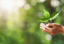 Mastering Sustainable Travel: How to Leave a Positive Footprint