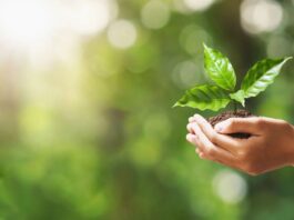 Mastering Sustainable Travel: How to Leave a Positive Footprint