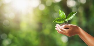 Mastering Sustainable Travel: How to Leave a Positive Footprint