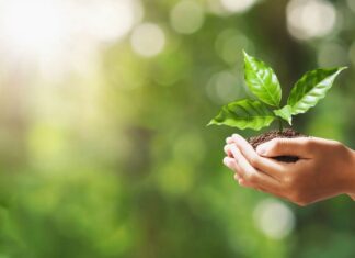 Mastering Sustainable Travel: How to Leave a Positive Footprint