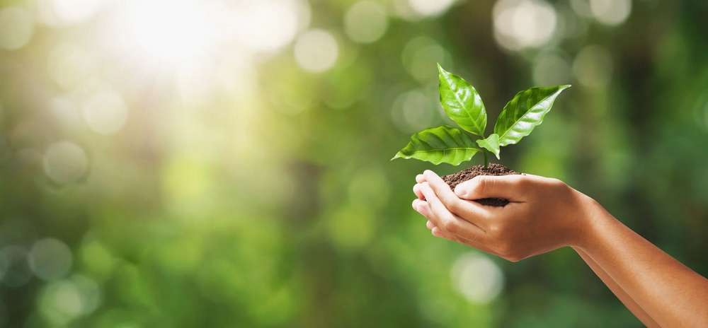 Sustainably